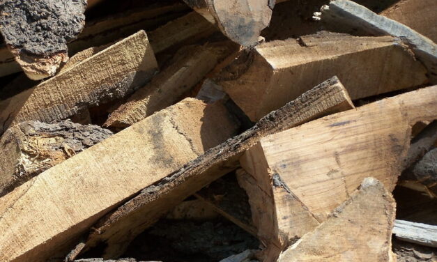 Perché rendere efficiente il riciclaggio dei rifiuti di legno