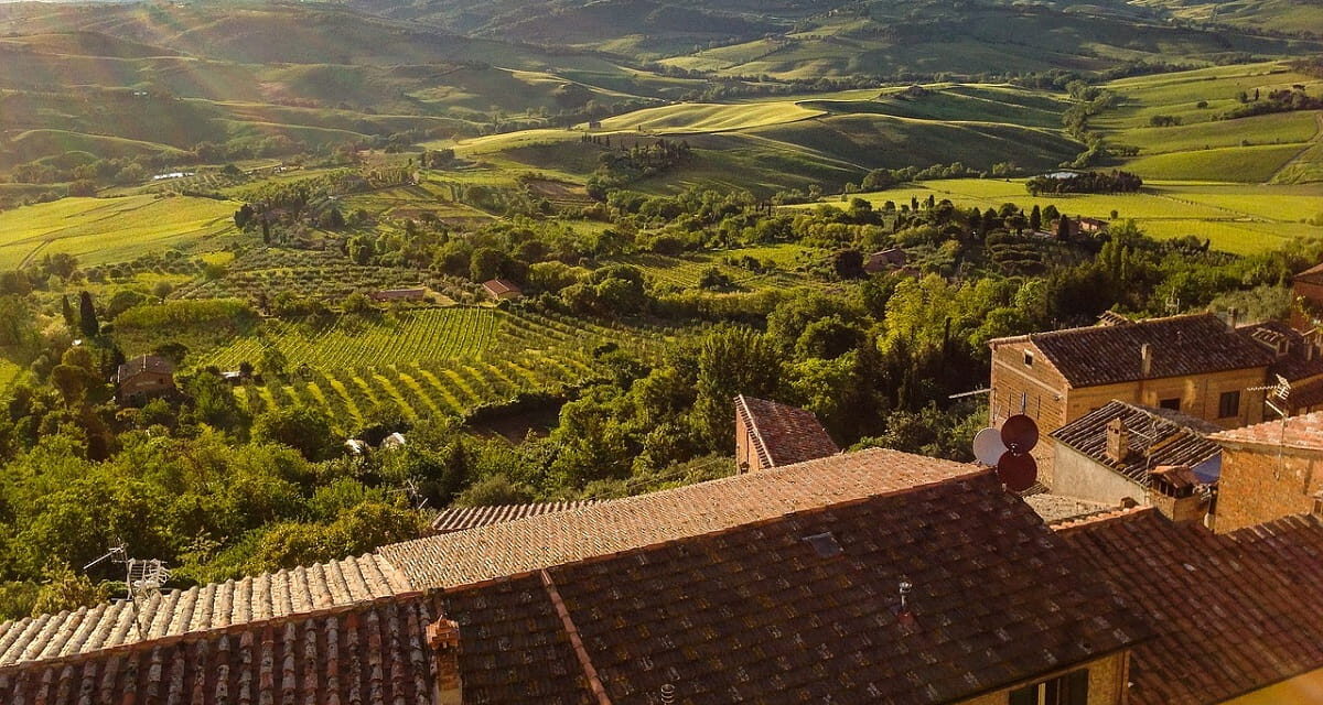 Le migliori zone vinicole da visitare in Italia