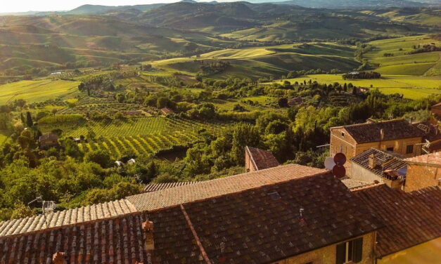 Le migliori zone vinicole da visitare in Italia